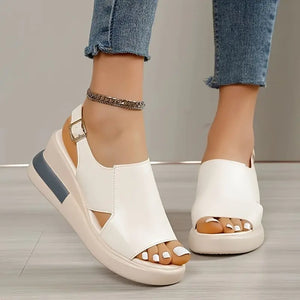 gid://shopify/MediaImage/24906949918814