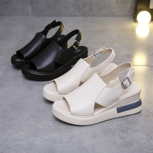 gid://shopify/MediaImage/24906950049886