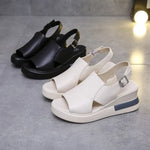 gid://shopify/MediaImage/24906950049886